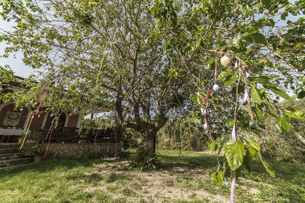 كاستيلاباتي Country House Araba Phoenix المظهر الخارجي الصورة