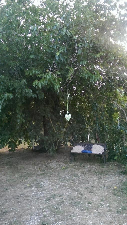 كاستيلاباتي Country House Araba Phoenix المظهر الخارجي الصورة